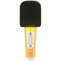Earldom MC6 Led Işıklı Karaoke Mikrofon - Sarı