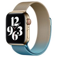Newface Apple Watch Ultra 49mm Metal Mıknatıslı Kordon - Metalik Gold-Mavi