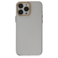 Newface iPhone 13 Pro Kılıf Anka PC Sert Metal Kapak - Şeffaf