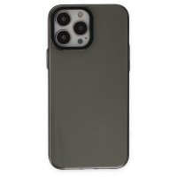 Newface iPhone 13 Pro Max Kılıf Anka PC Sert Metal Kapak - Siyah