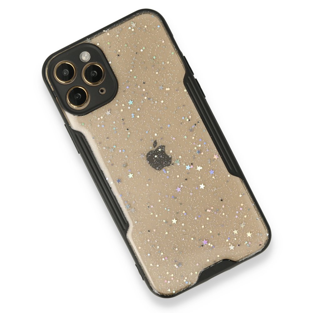 Newface iPhone 11 Pro Kılıf Platin Simli Silikon - Siyah