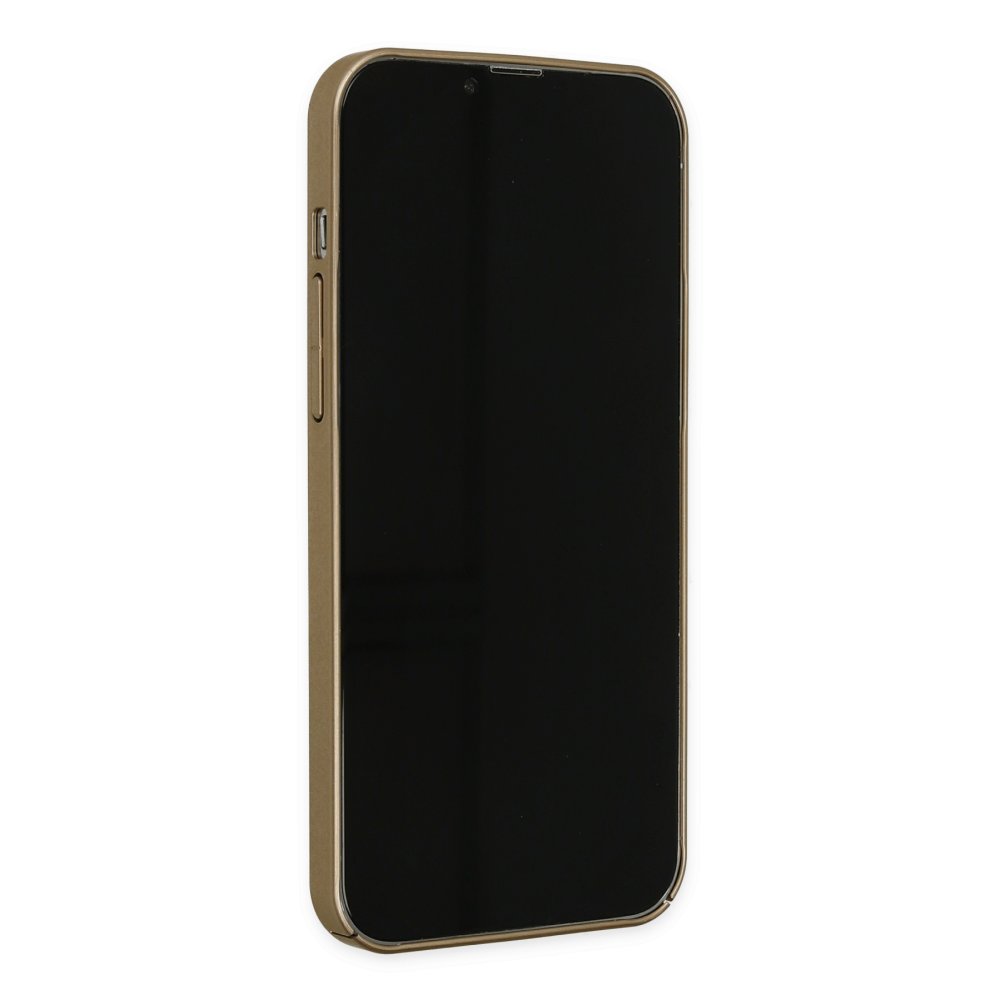 Newface iPhone 12 Kılıf Jack Magneticsafe Lens Silikon - Gold