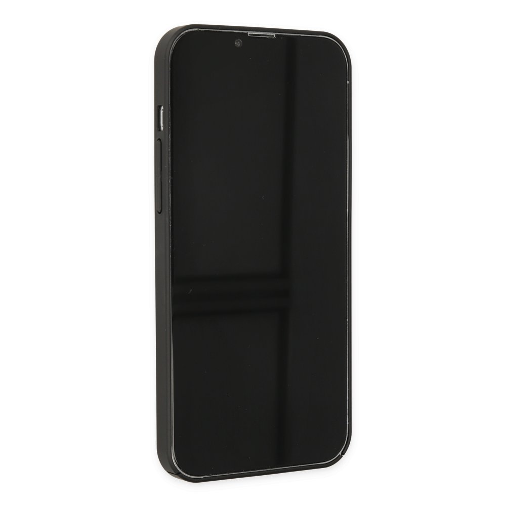 Newface iPhone 12 Kılıf Jack Magneticsafe Lens Silikon - Siyah