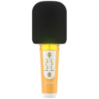 Earldom MC6 Led Işıklı Karaoke Mikrofon - Siyah