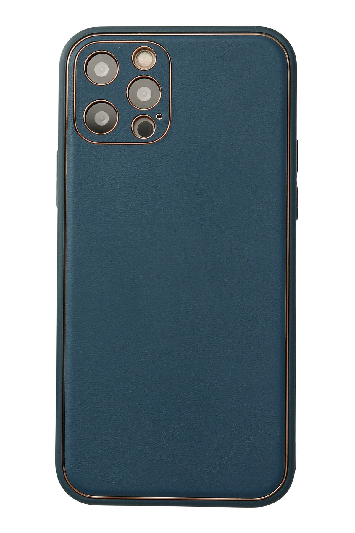 Newface iPhone 12 Pro Max Kılıf Coco Deri Magneticsafe Silikon - Sierra Blue